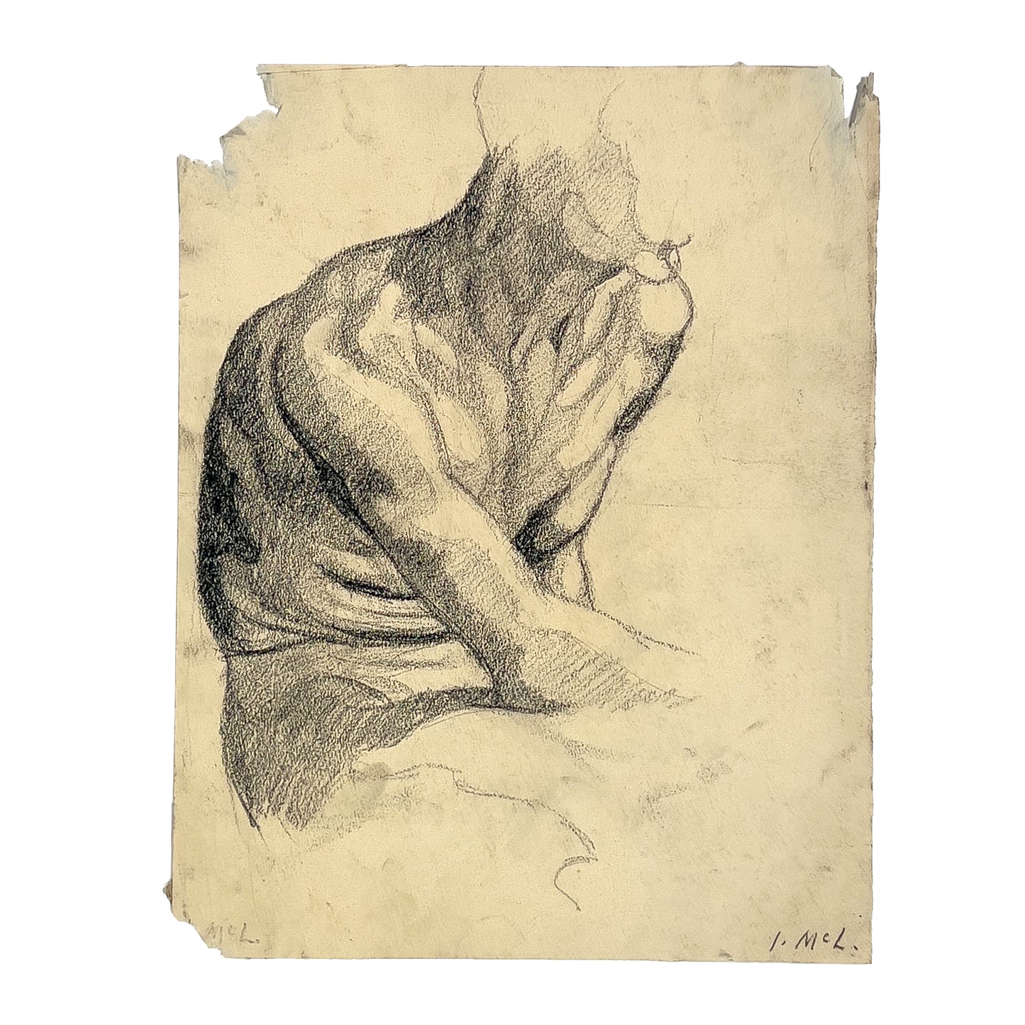 Isabel McLaughlin - Male Torso Study - McCanse Art