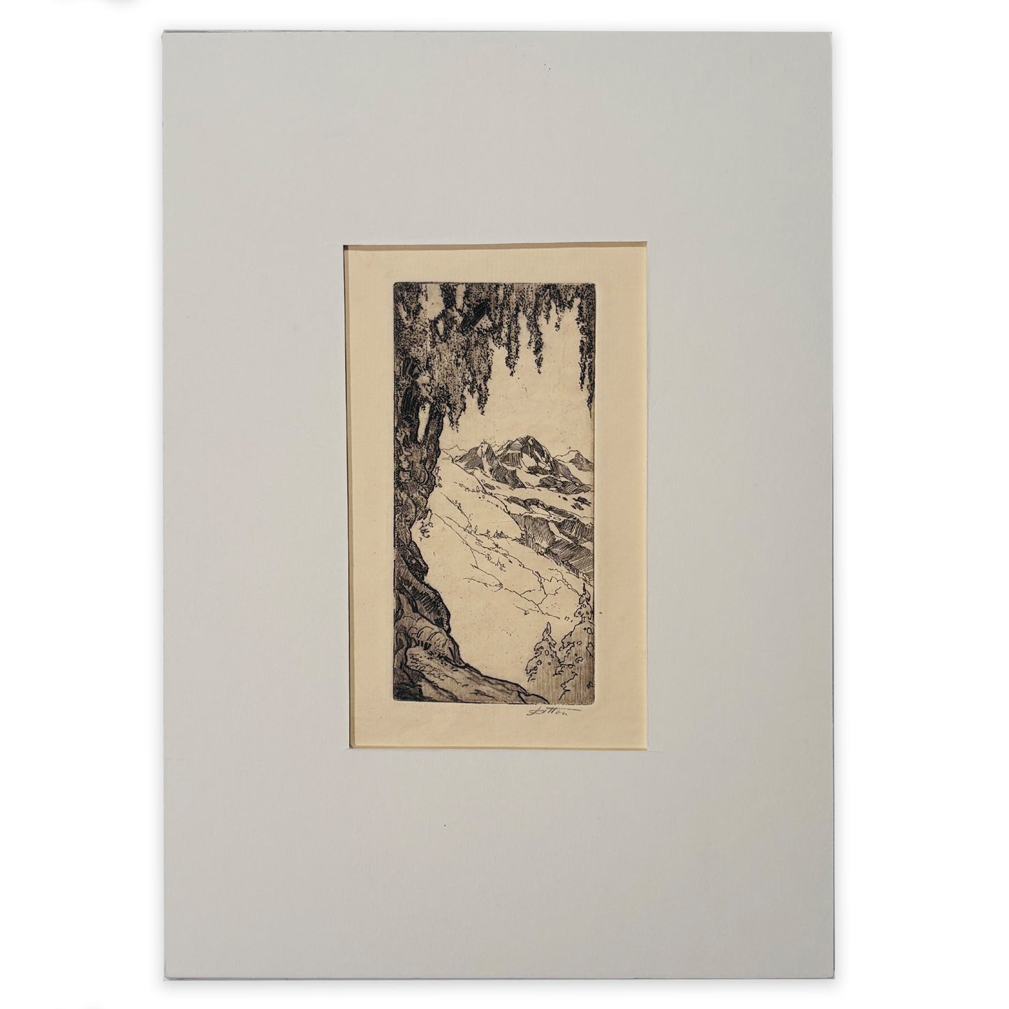 John Wesley Cotton - Pepper Tree and Mountain, California (Christmas card)