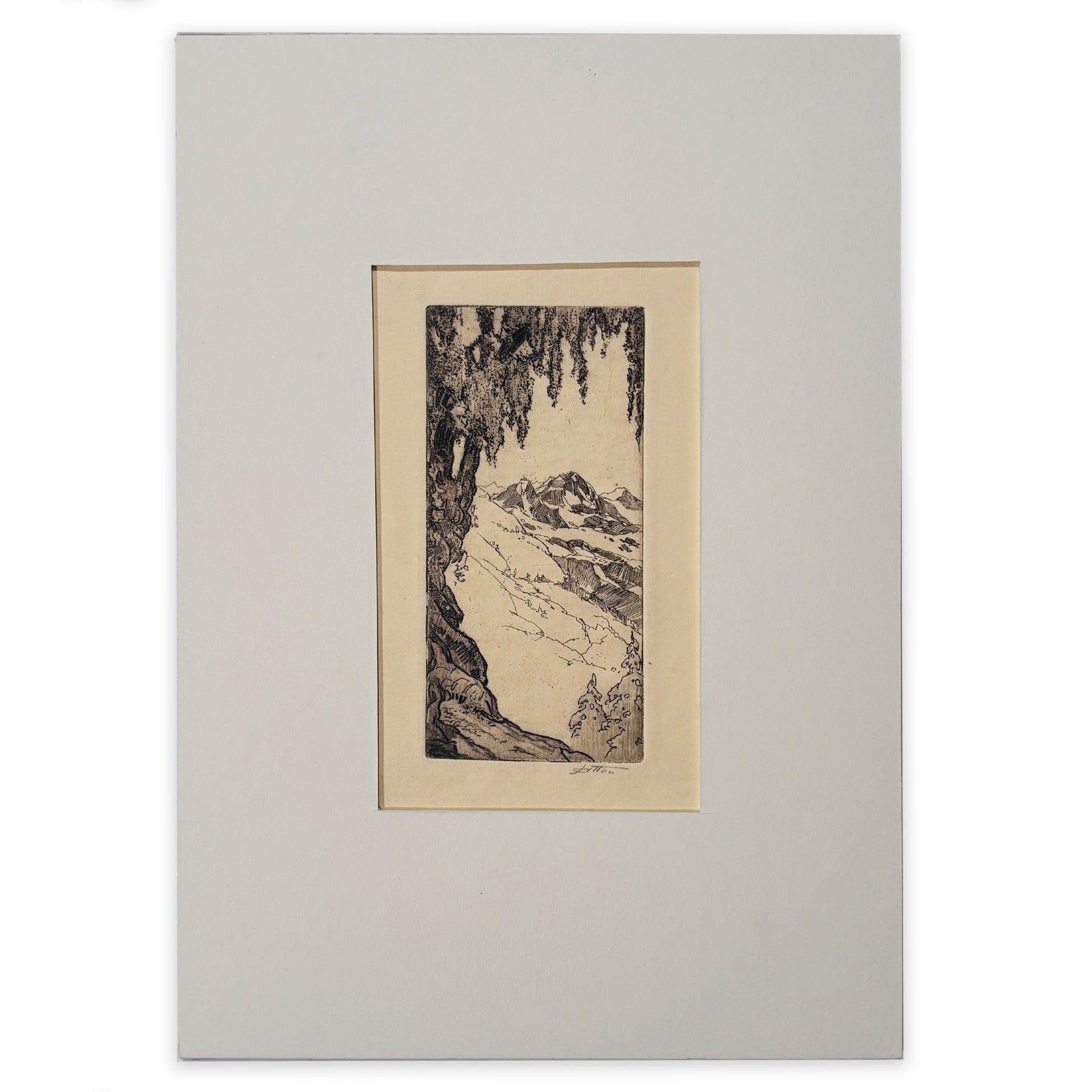John Wesley Cotton - Pepper Tree and Mountain, California (Christmas card)